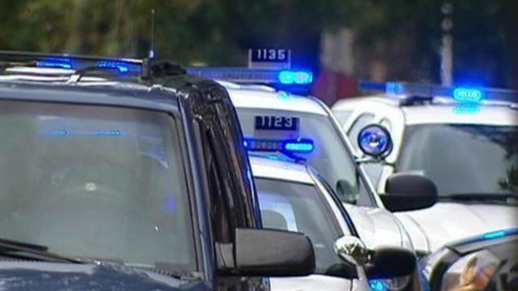 Teen charged with stealing from Chicago business, attacking 65-year-old