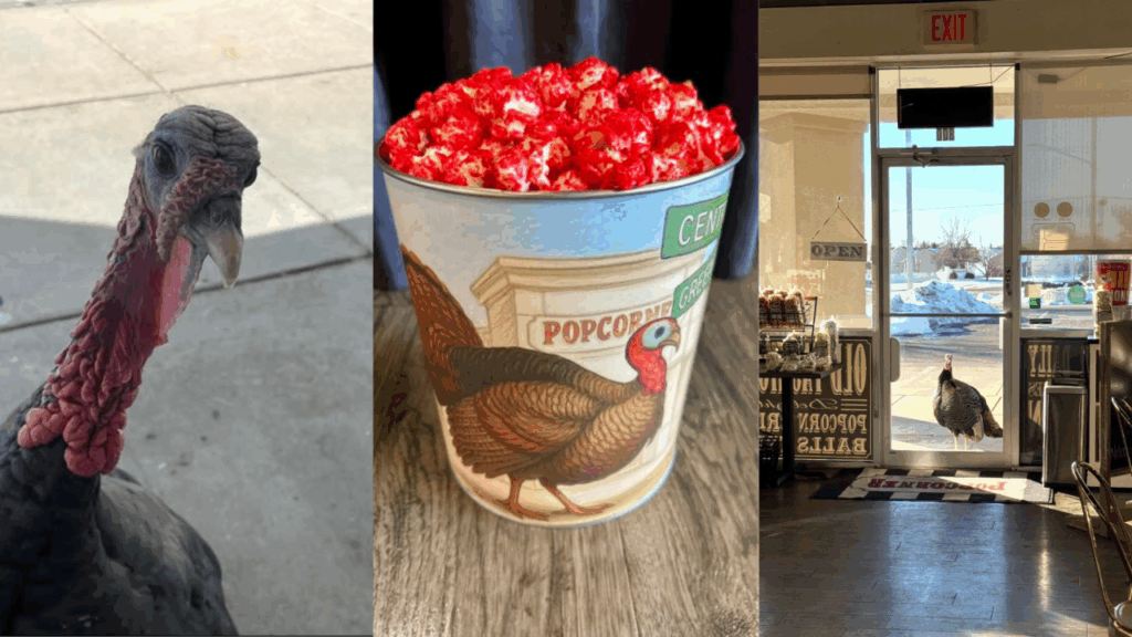 Wichita business creates popcorn tin for beloved turkey