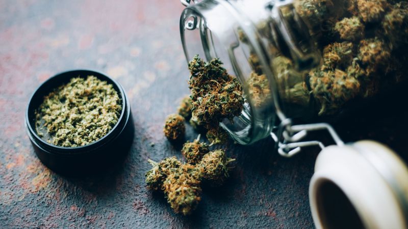 ‘Green Wednesday’ gives a reason to add cannabis to the Thanksgiving shopping list