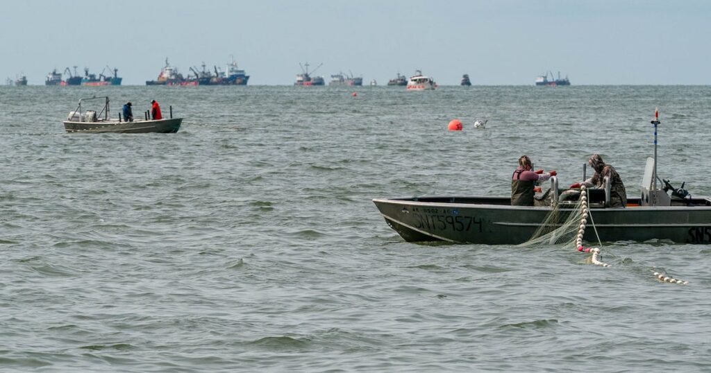 Opinion: Pro-business in Bristol Bay means salmon, not mines