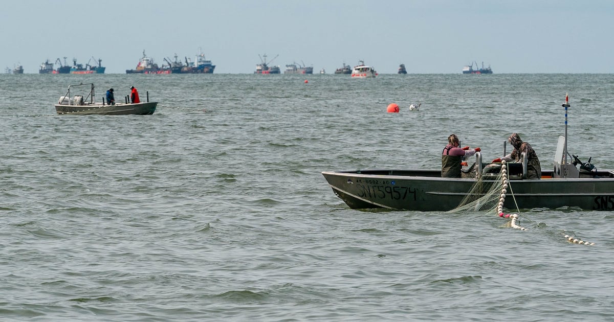 Opinion: Pro-business in Bristol Bay means salmon, not mines