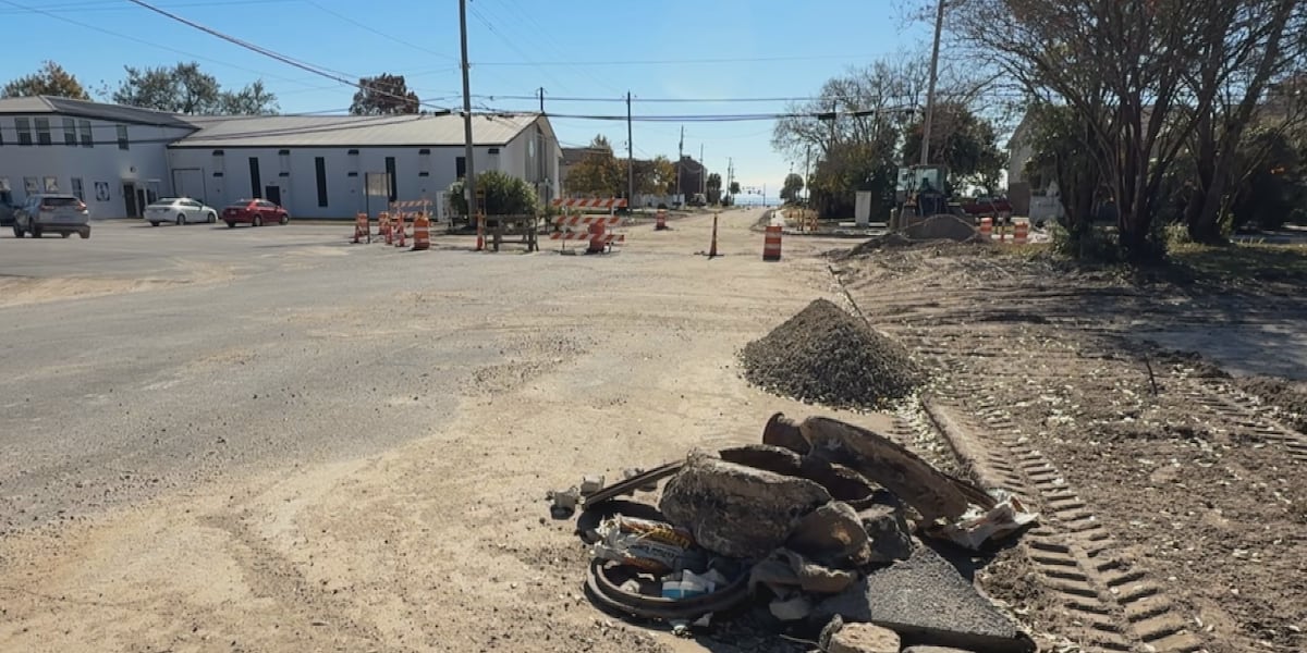 Camellia Street roadwork drags into 13th month, squeezing new business