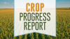 Crop Progress Graphic