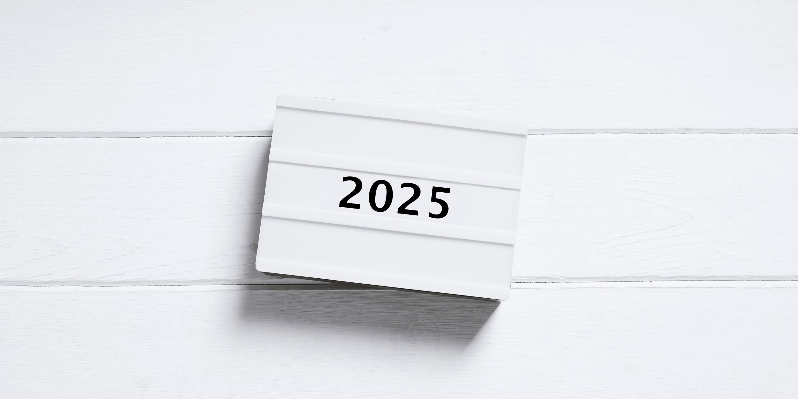 2025 in Review: M&A Activity – Scale and Strategic Focus Drive Dealmaking