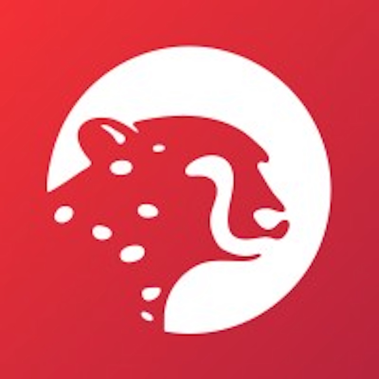 $50 Million Series B Raised To Accelerate Global Payments Expansion