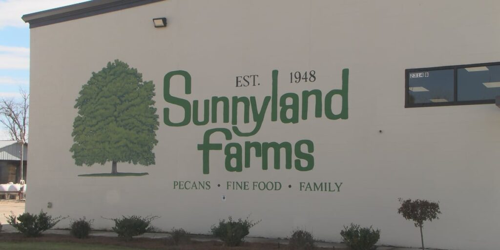 Albany business featured on Good Morning America showcases local products