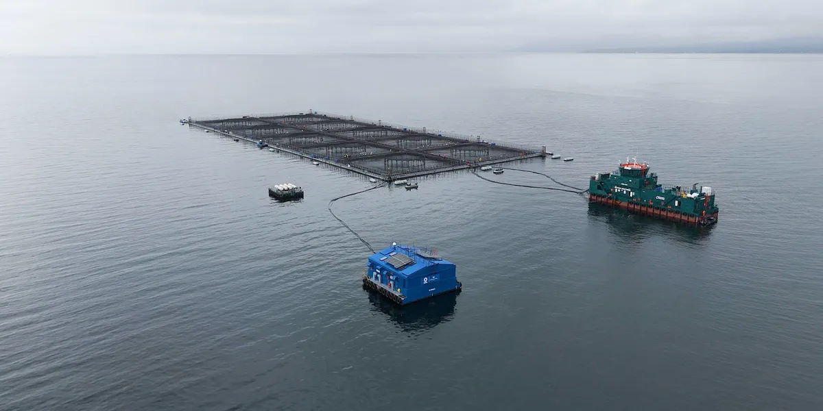 Aquaculture equipment firm lands $25m investment to speed global expansion