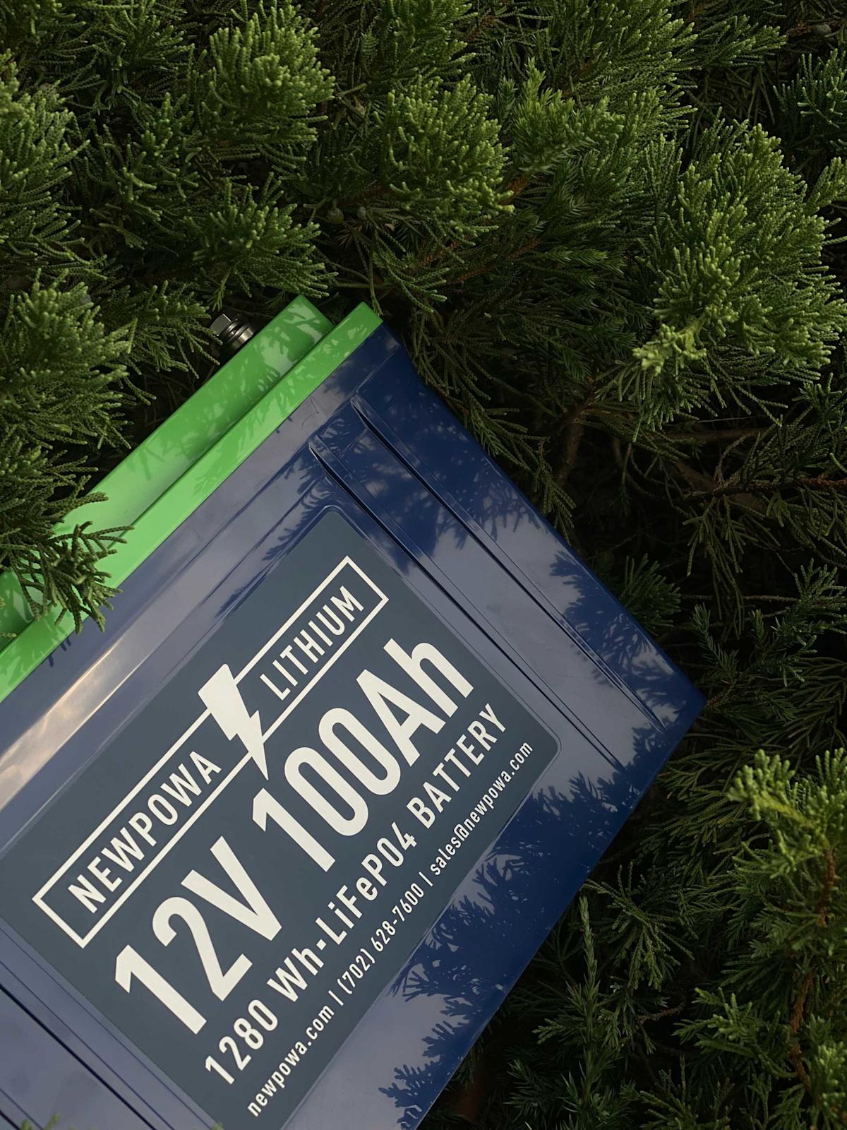 CATL Pushes Global Expansion as China EV Growth Slows