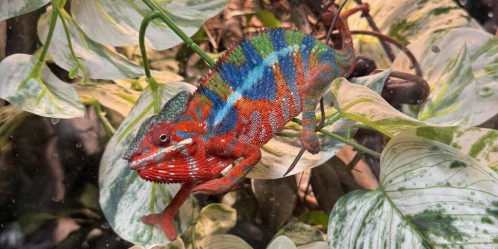 Comings & Goings - SiouxFalls.Business