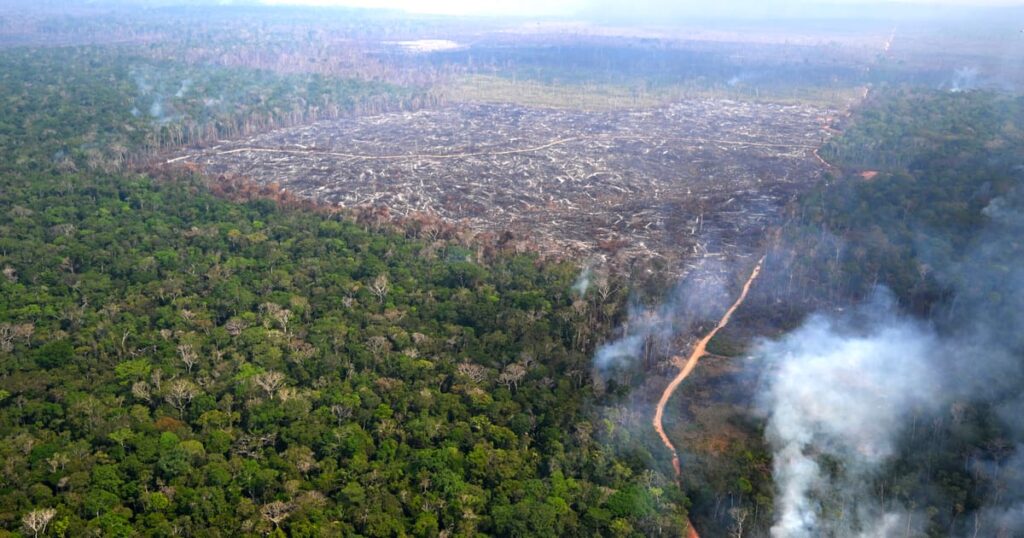 Europe’s simplification mess frustrates businesses – POLITICO