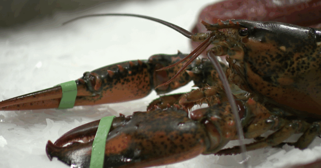 From wholesale to community impact; food bank and local business thrive together