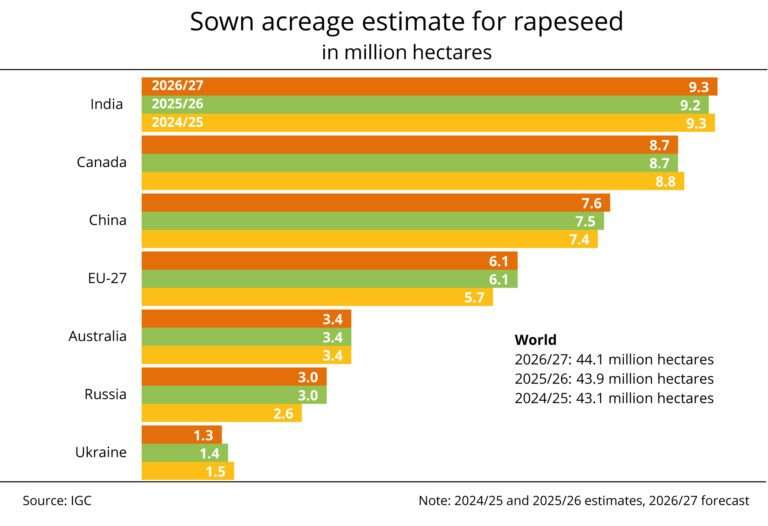 Global rapeseed area set to rise as Asia drives expansion, says IGC