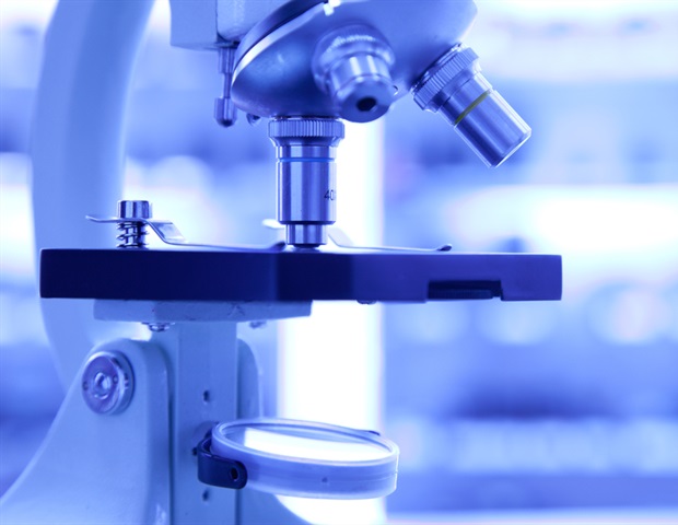 New insights into the global expansion of Candida auris