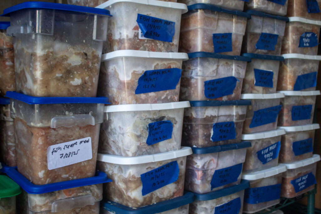 Newport business works to reduce Oregon’s fish waste