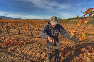 The wine business faces an existential threat