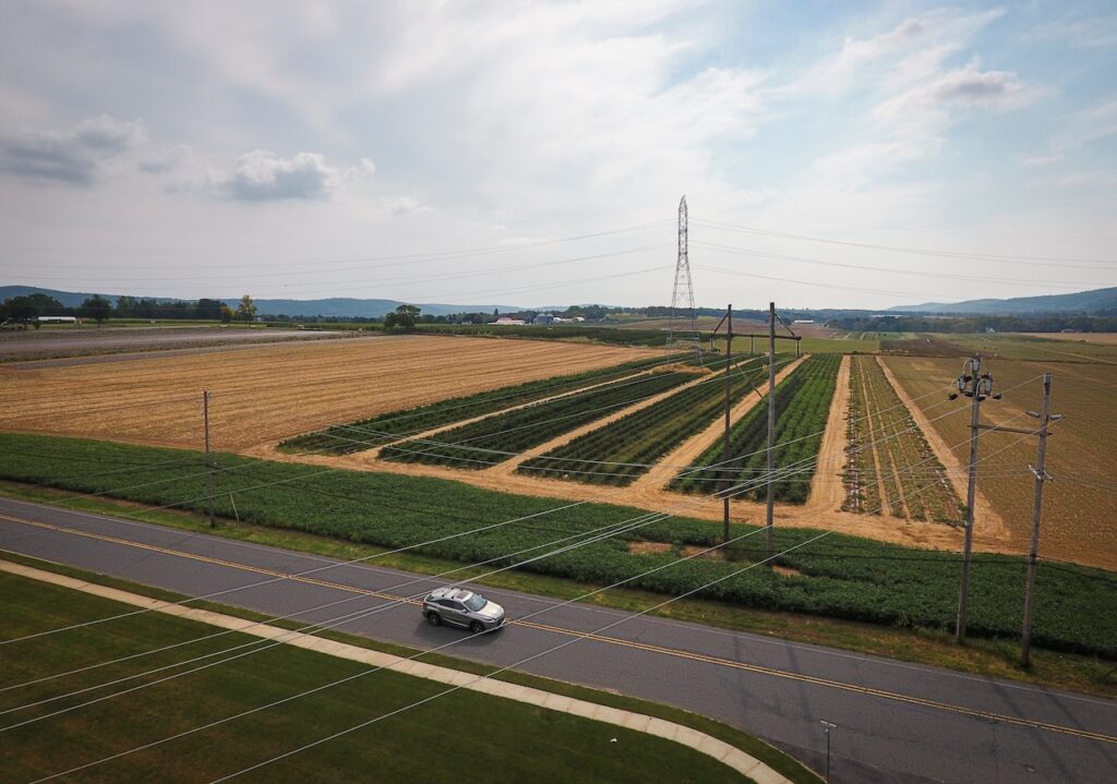 Town acts to reduce quarry truck traffic by 75%. Attorney says move may kill local business.