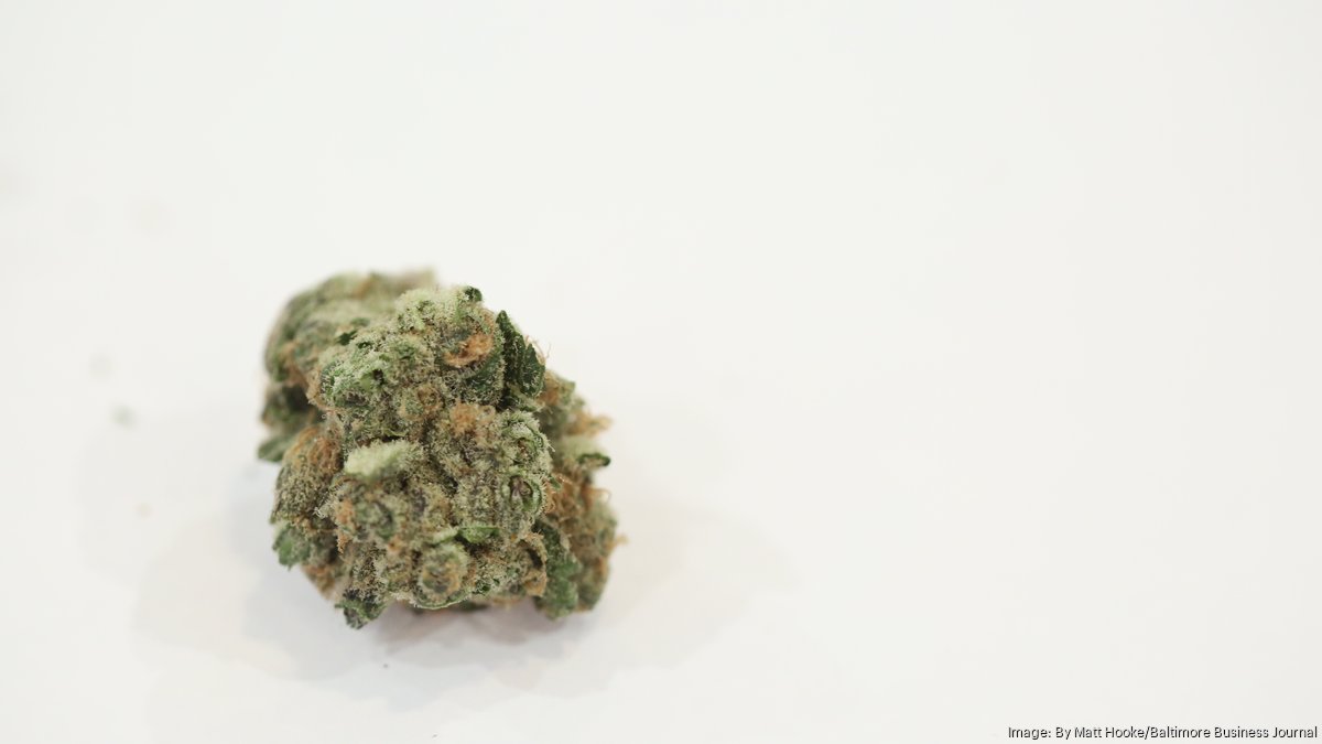 Trump signs order to ease restrictions on cannabis