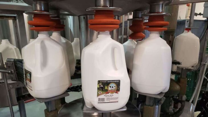 U.S. Milk Output Leads Global Growth into 2026