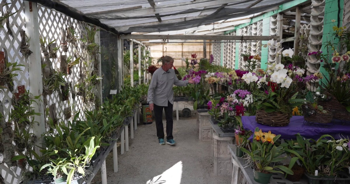 St. Pete business owner's hobby turns into new chapter for Art Stone Co.