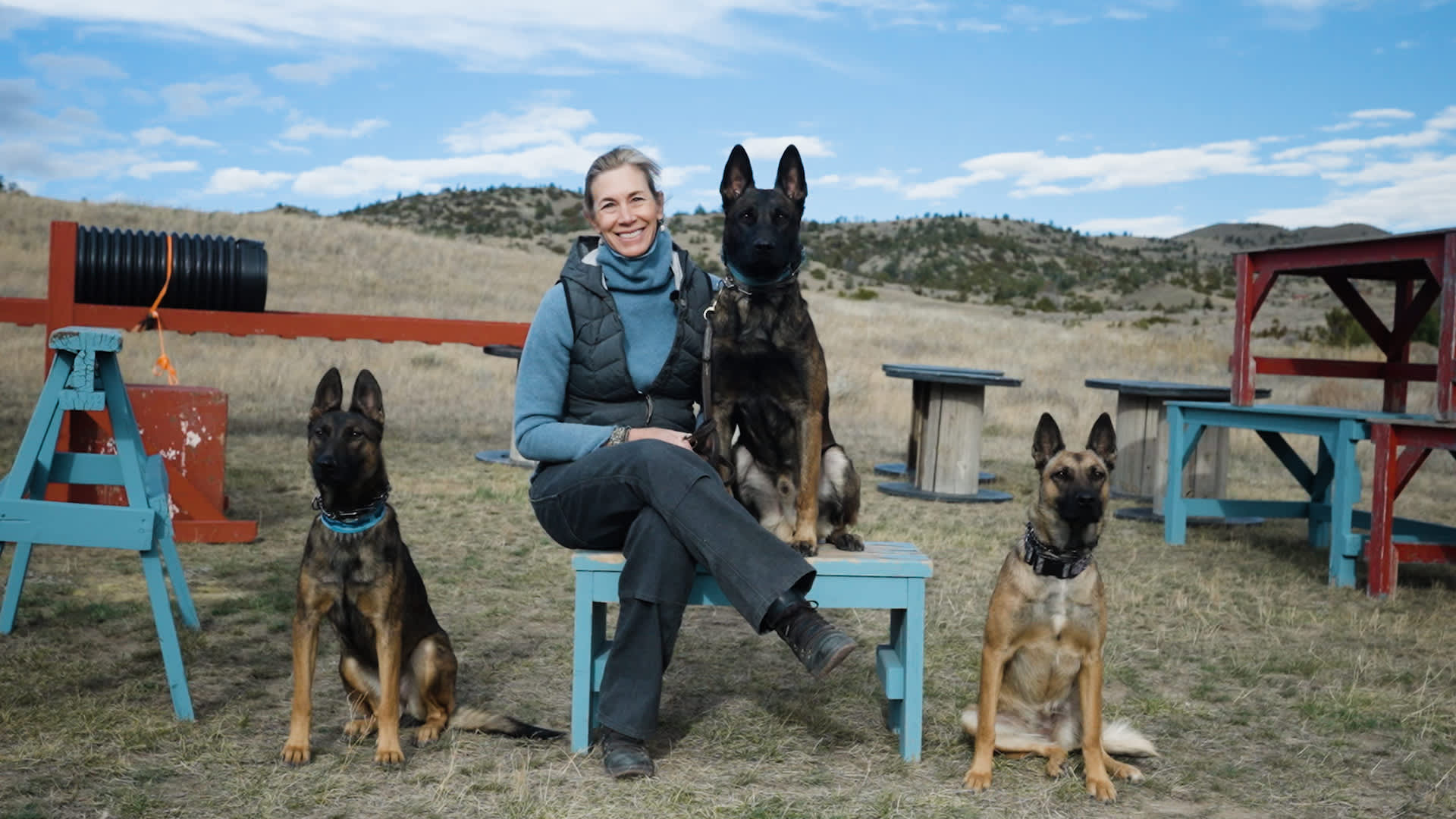 How I built a business selling protection dogs to the wealthy