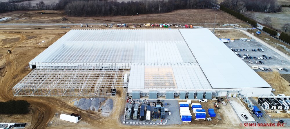 Sensi Brands cannabis facility