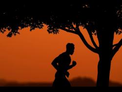 A simpler approach to health and wellness in 2026 | Lifestyle