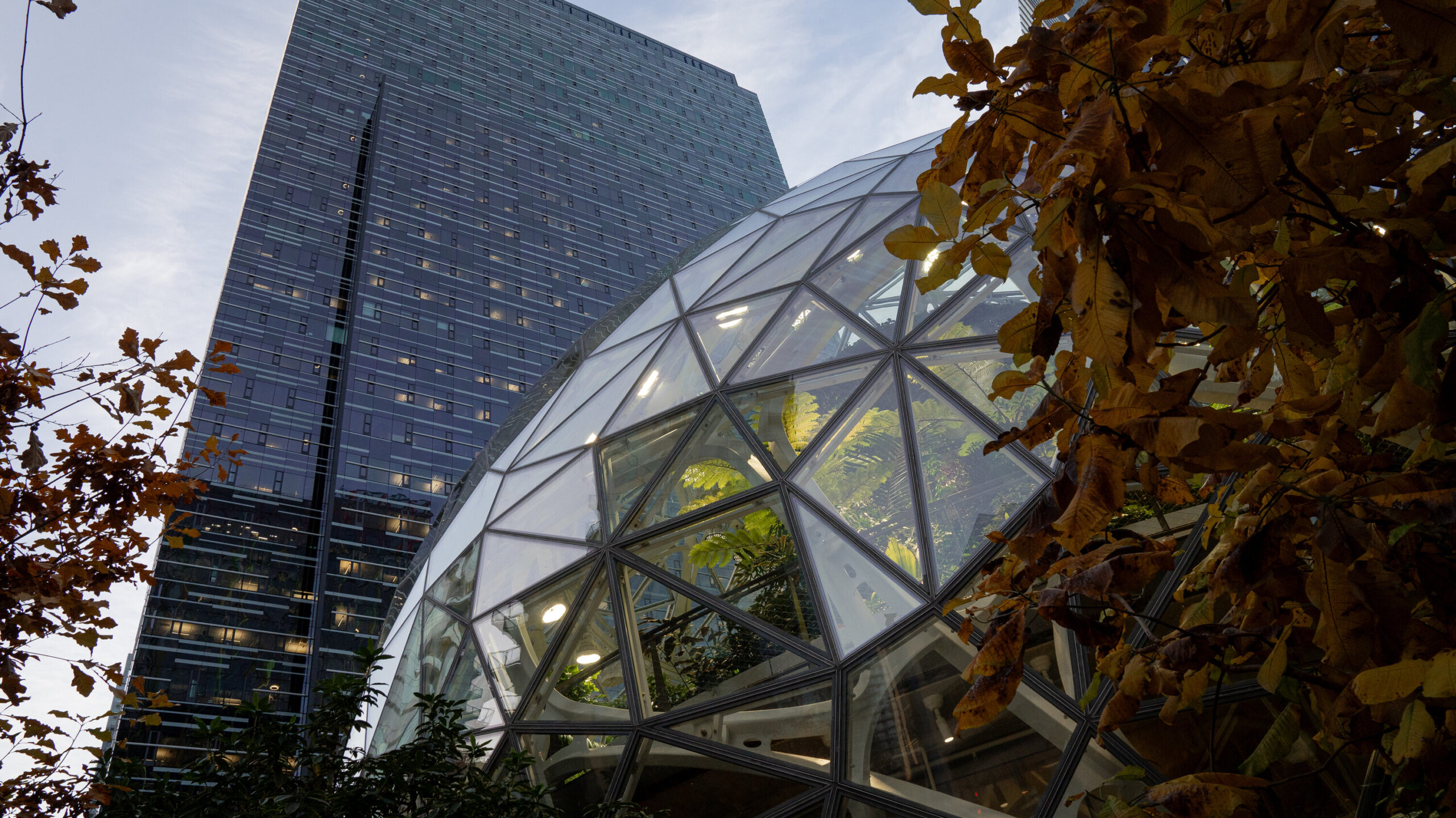 Amazon to Cut 16,000 Jobs in Latest Round of Layoffs