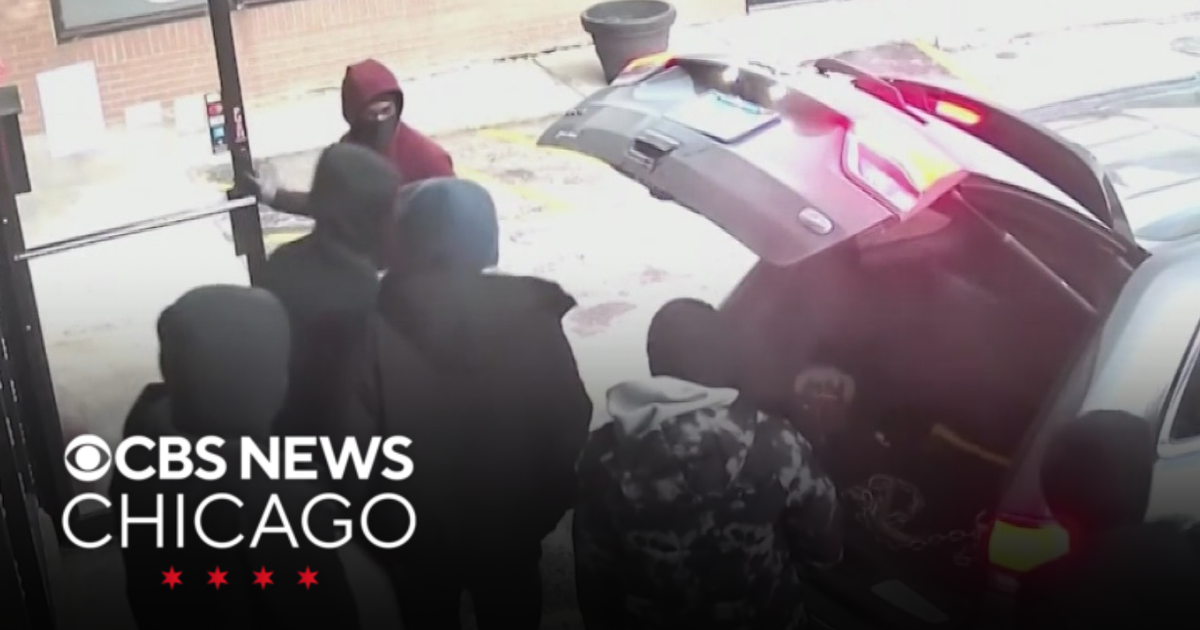 Burglary crew targets 10 businesses across Chicago, police say