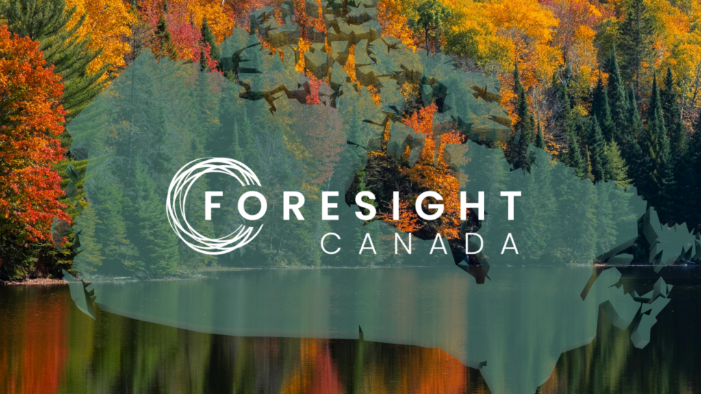 Cleantech’s Next Frontier: Why Global Innovators Choose Canada to Scale