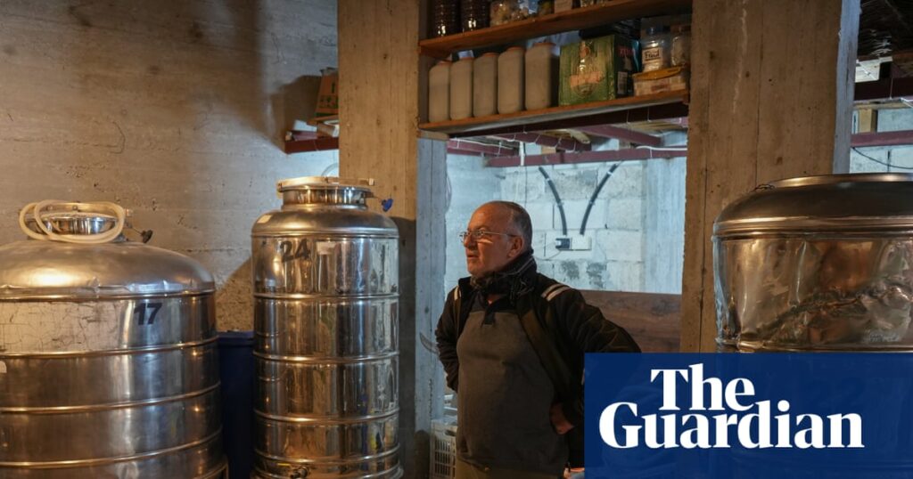 From tourism to wine, Syrian businesses flounder in post-Assad cultural flux | Syria