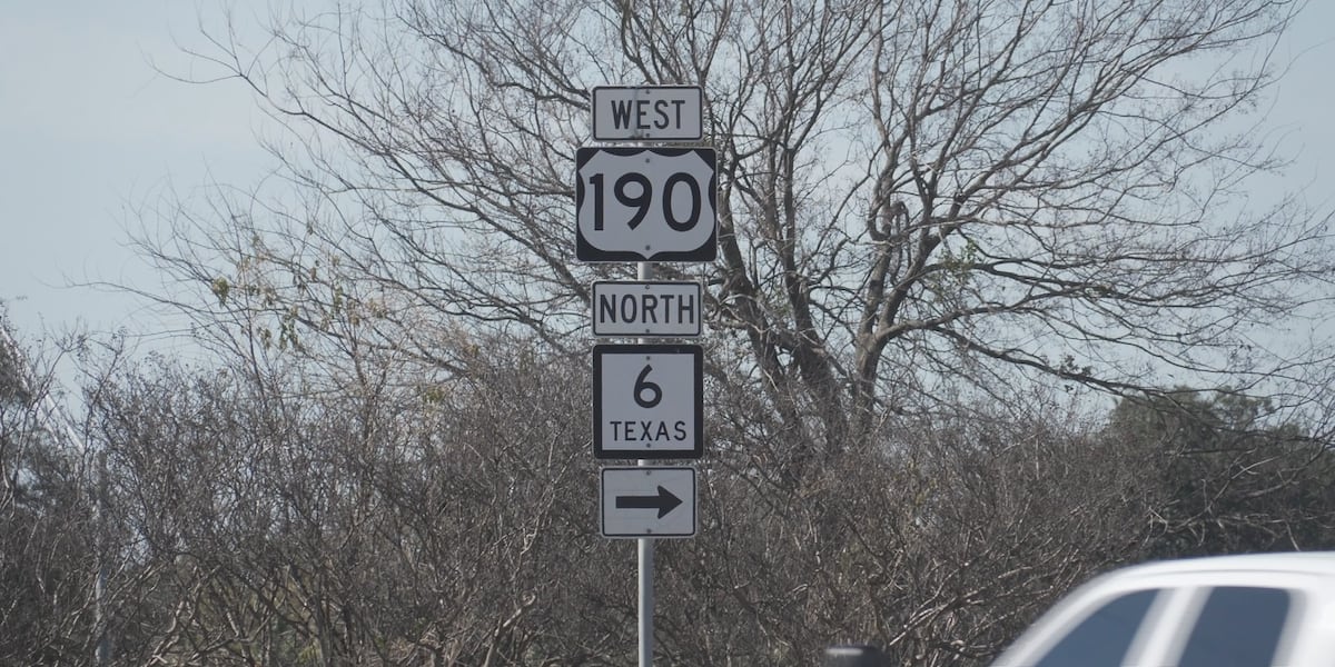 Highway 21 Dairy Queen closure sparks conversation amongst local business owners