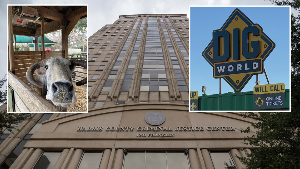 Houston-area businesses, services announce closures ahead of winter storm