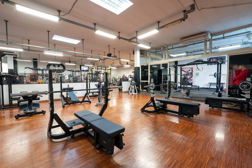 Italy Health and Fitness Club Market: Lifestyle Shifts, Digital Fitness & Growth Prospects