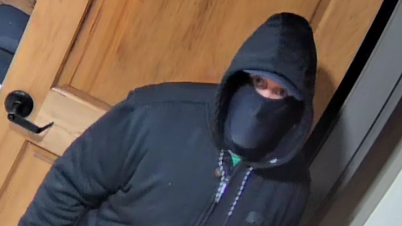 Police search for Bulverde business break-in bandit