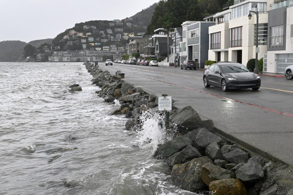 Sausalito seeks shoreline business input on sea-level plan