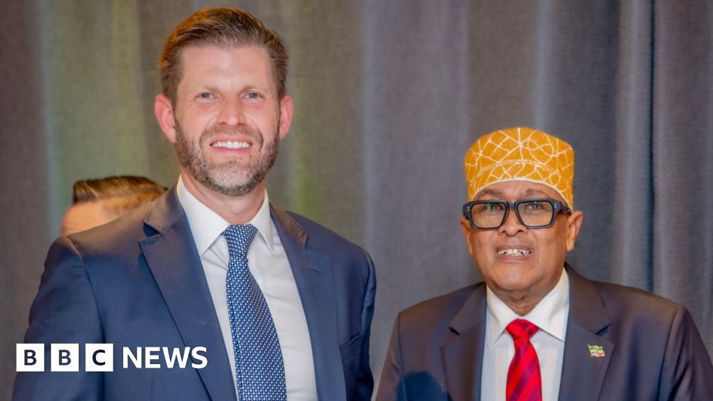 Somaliland president meets Eric Trump and Israel's Isaac Herzog at Davos