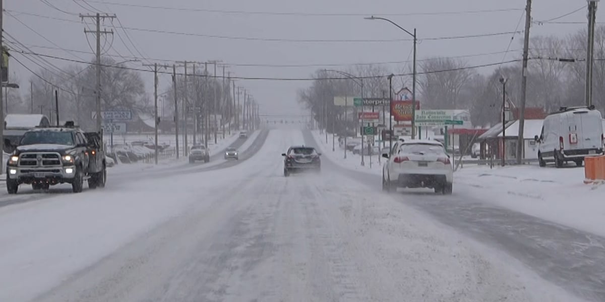 Springfield delivery drivers, pizza shops see spike in business during winter storm