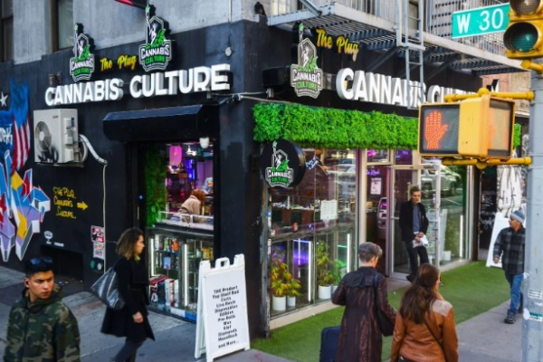 The marijuana business grows up as Trump eases the rules