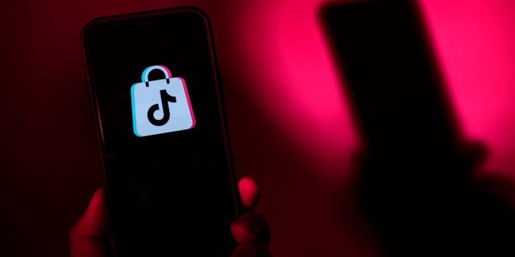 TikTok's Transformation Into a Shopping App Is Complete