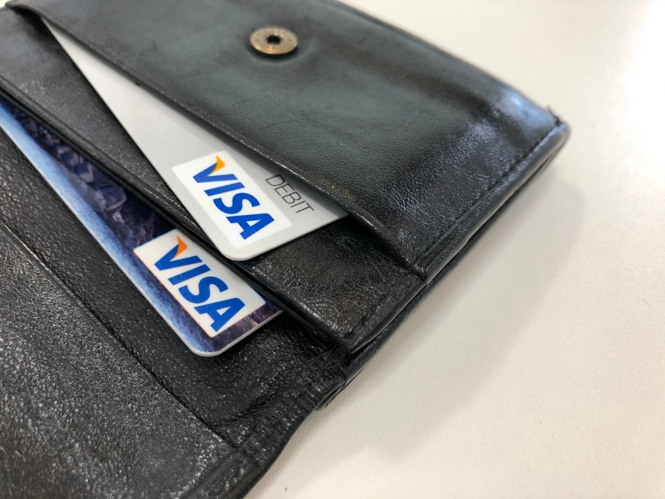 VISA Credit Card Wallet