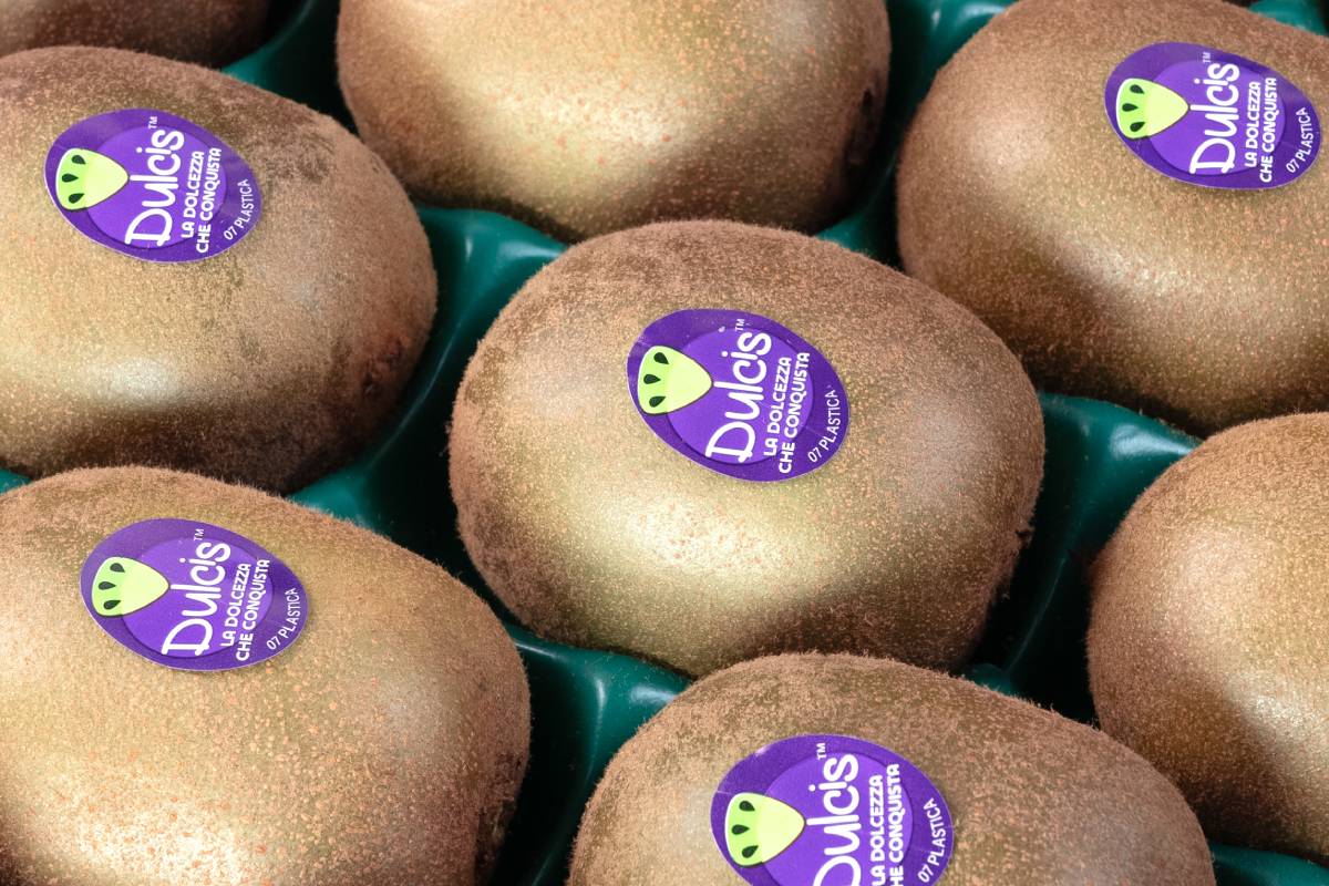 Premium Italian kiwifruit Dulcis™ sets out for global expansion as brand hits the UAE