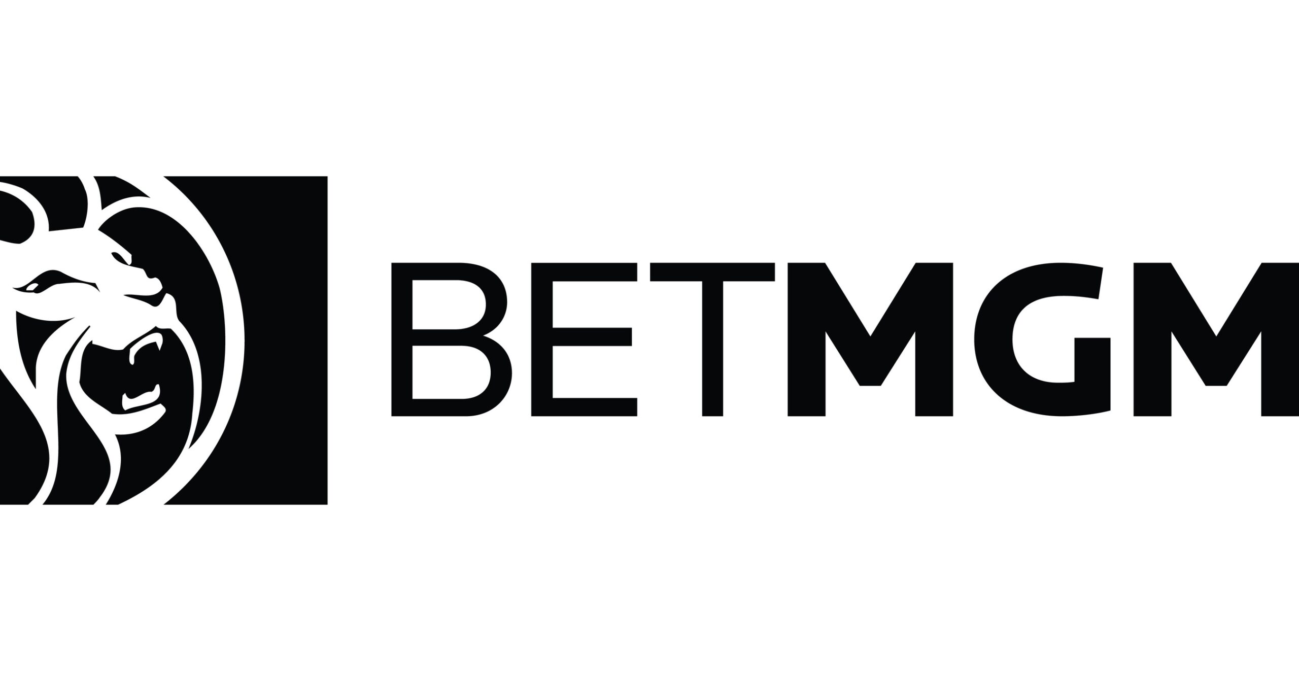 BETMGM FY 2025 BUSINESS UPDATE