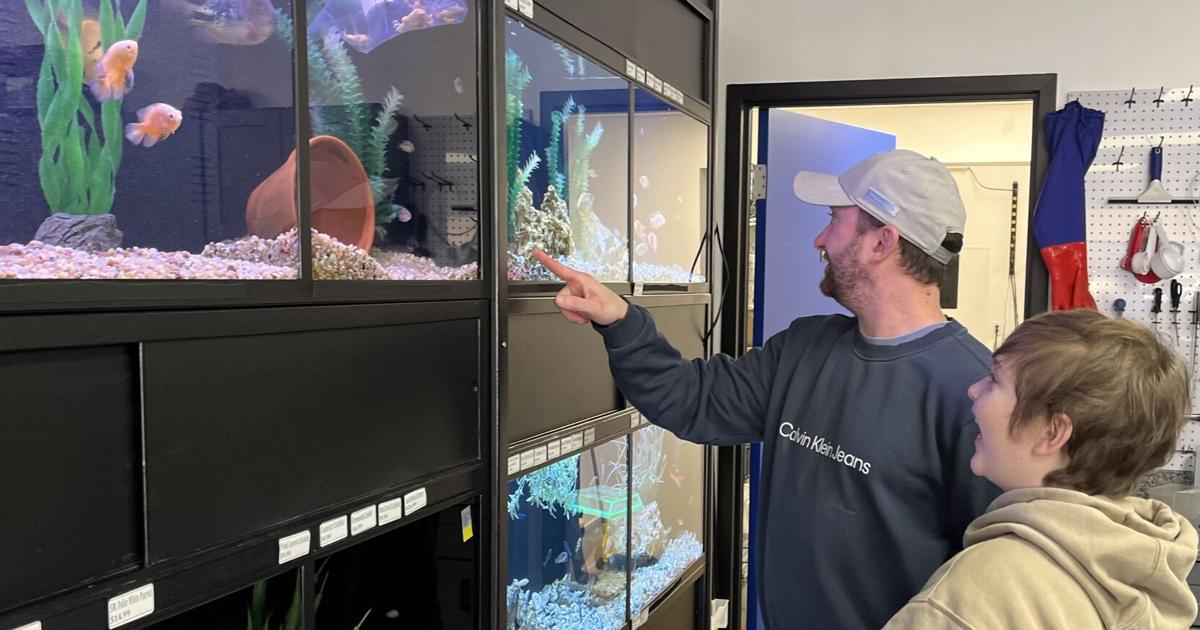 New Business: Fish Mike Aquatics gets a bigger space; La Casita moves across the border