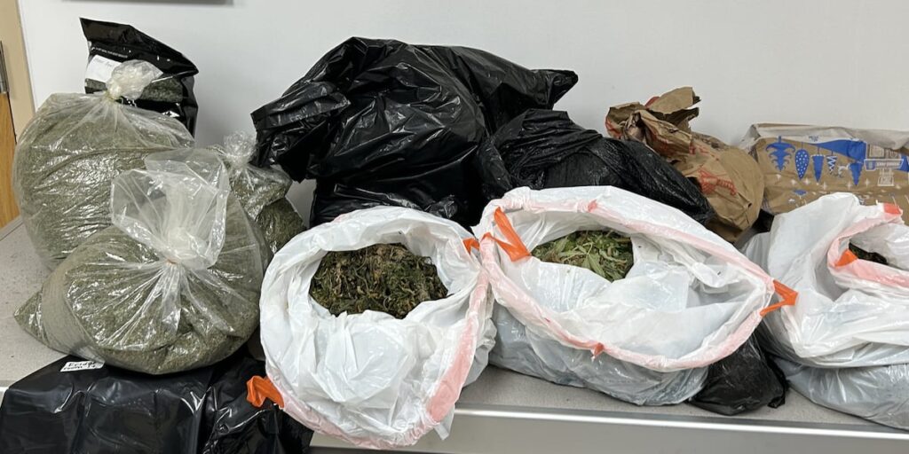 More than 168 pounds of marijuana found in Kings Mountain business, police say