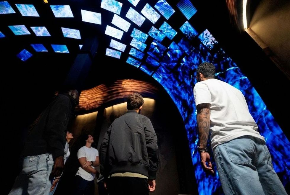 Niagara Takes Flight waterfall room