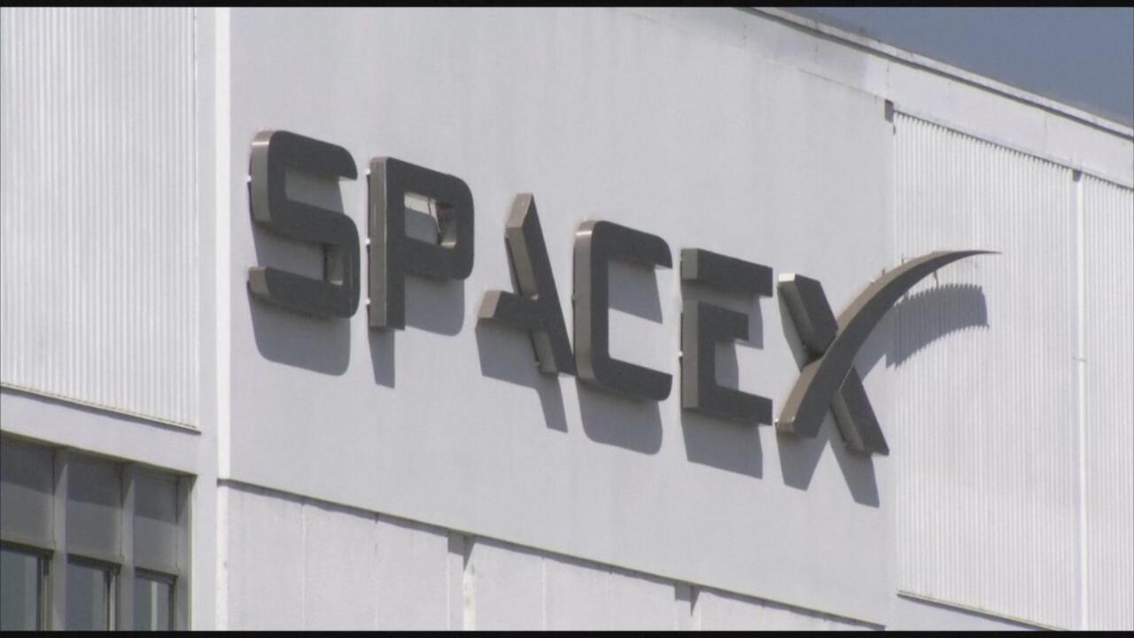 Business - Musk's SpaceX acquires xAI in largest M&A deal ever