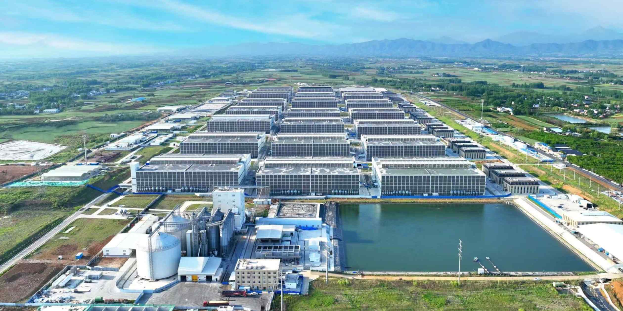 CP Group-backed Muyuan eyes global expansion with $1.4bn Hong Kong IPO