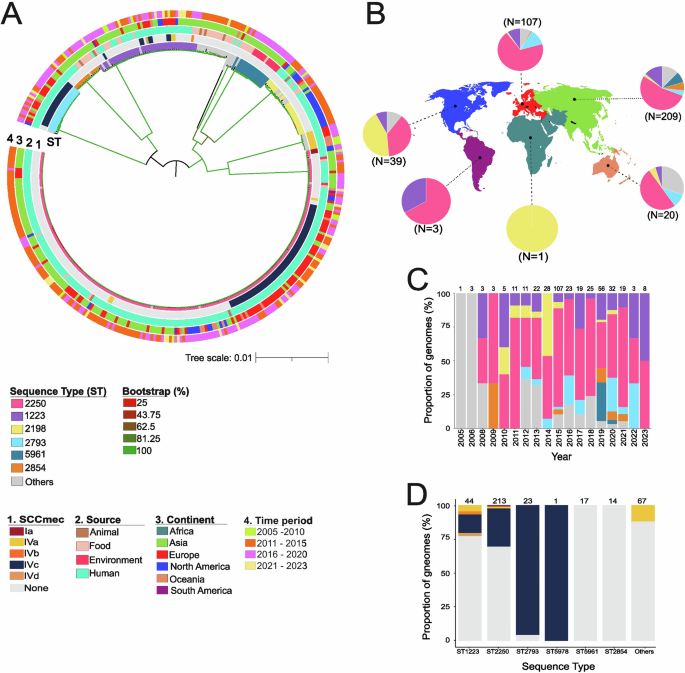 Five-decade global expansion of Staphylococcus argenteus ST2250 shapes antimicrobial resistance dynamics