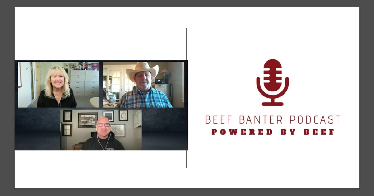 From feedlot to forecast: Building resilient beef businesses