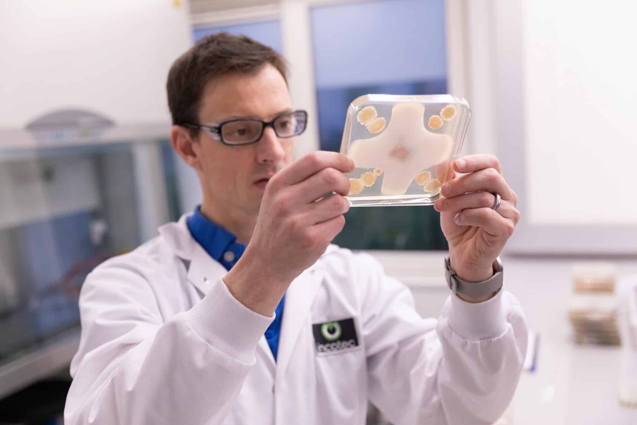 Biological Seed Treatments: Innovation, Regulation and Market Expansion